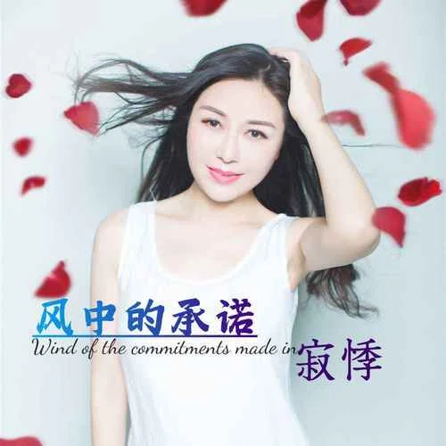 風(fēng)中的承諾(DJ版)-寂悸