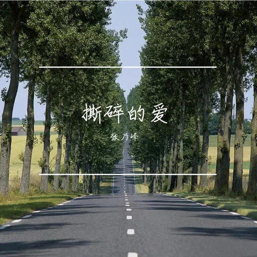 撕碎的愛(ài)-張乃峰