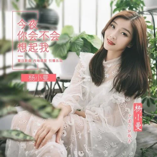 今夜你會(huì)不會(huì)想起我-楊小曼