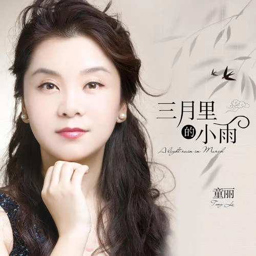 三月里的小雨(DJ版)-童丽