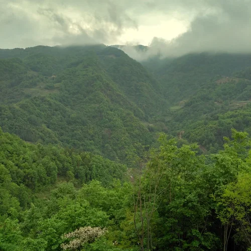 送別(DJ版)-霍良勇