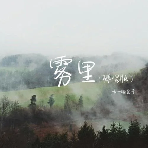 霧里(彈唱版)-來一碗老于