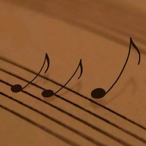 花兒與少年(DJ版)-只愛(ài)好聲音