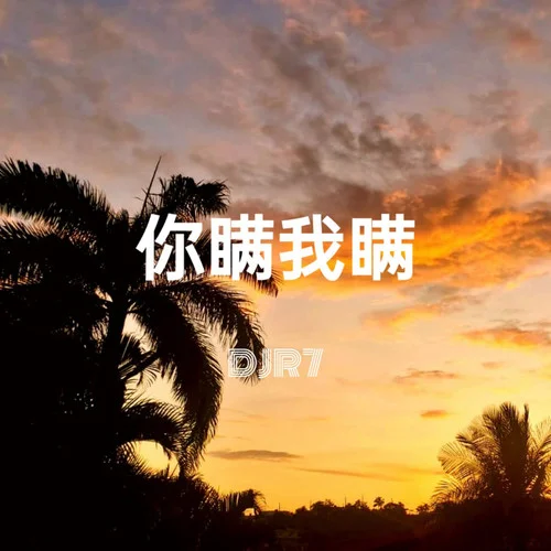 只因你傷心 (DJR7 Mix)-R7