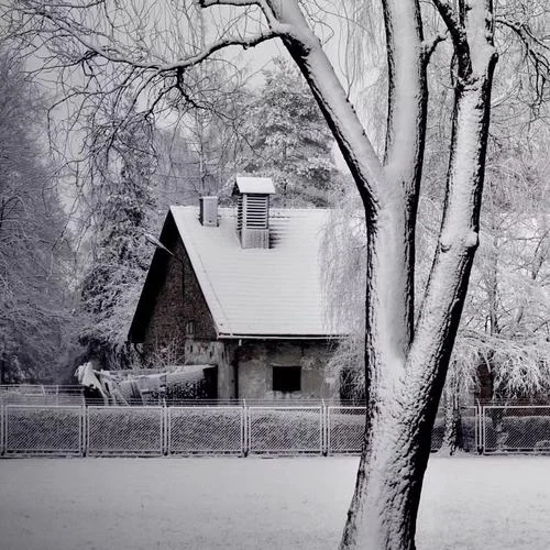 呼吸決定(Live)-天四