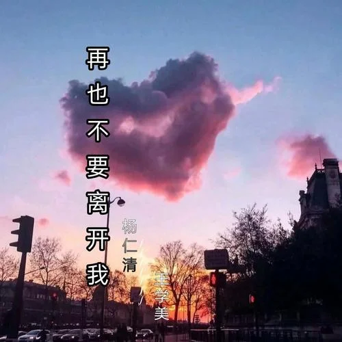 再也不要離開我-楊仁清&王學美