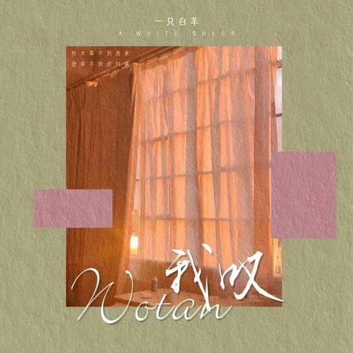 我嘆-一只白羊