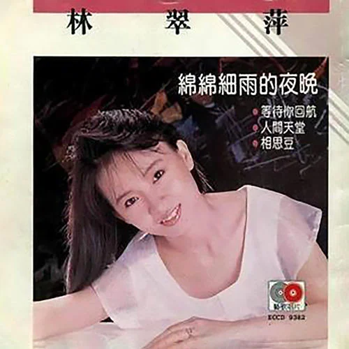 綿綿細雨的夜晚-林翠萍
