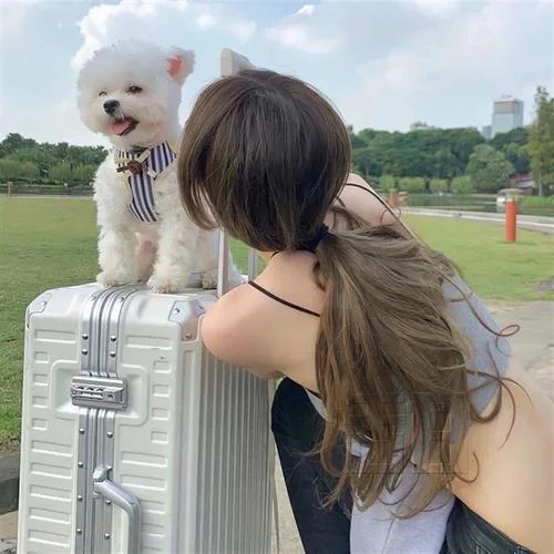 Six Nine-玄冥二老