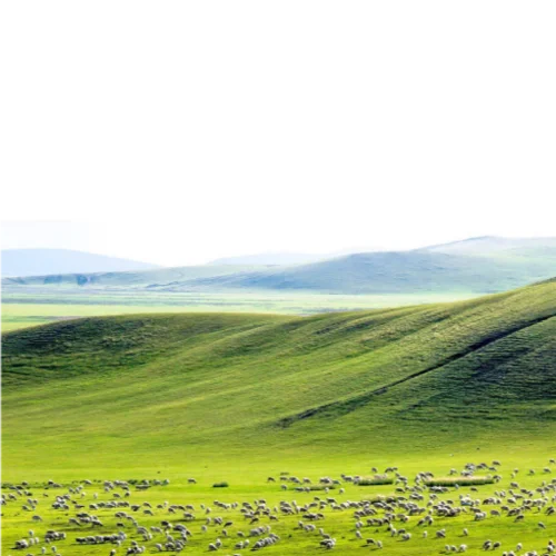 賽馬（二胡）(伴奏)-紅軍號