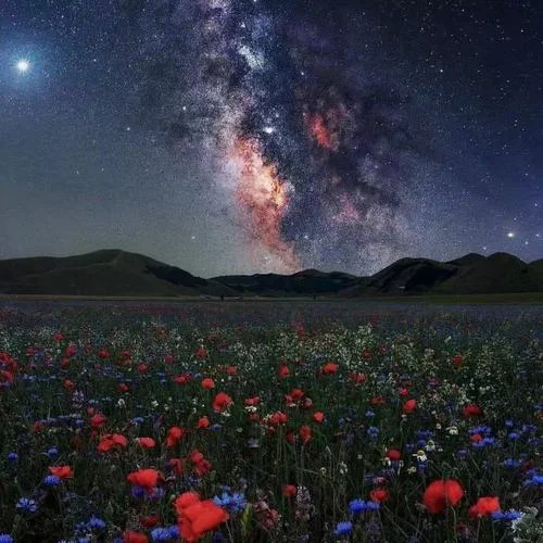 踏上旅途(DJ版)-普朗克