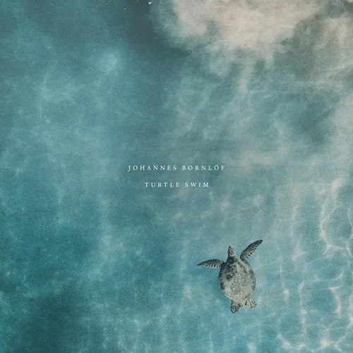 Turtle Swim-Johannes Bornl?f