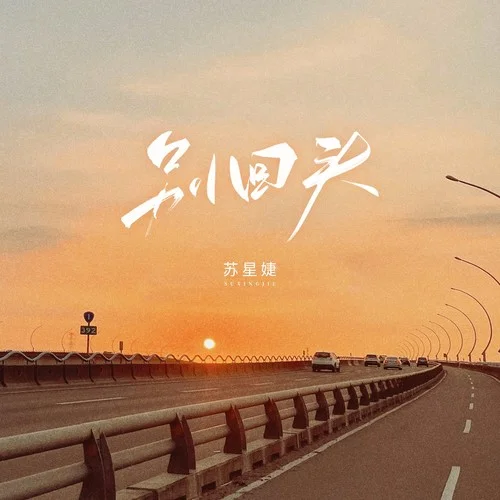 别回头-苏星婕