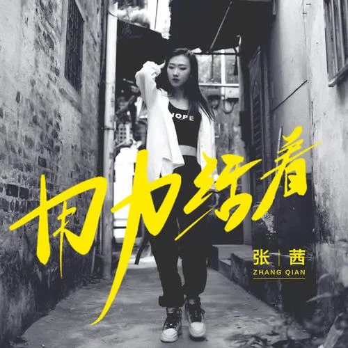 用力活著(DJ沈念版)-張茜