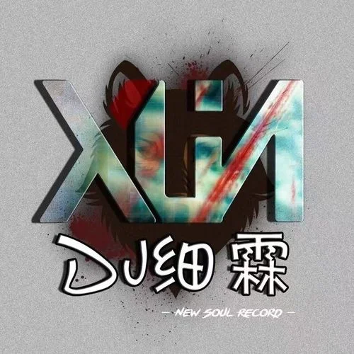 千千闕歌(DJ版)-Dj細霖
