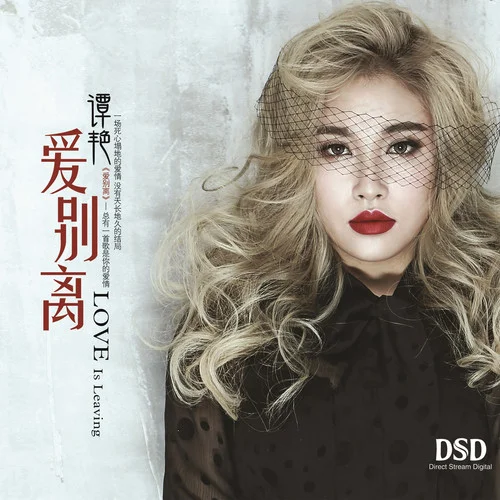 死心塌地去愛(ài)你-譚艷