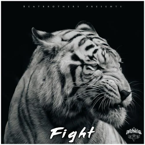 Fight-BeatBrothers