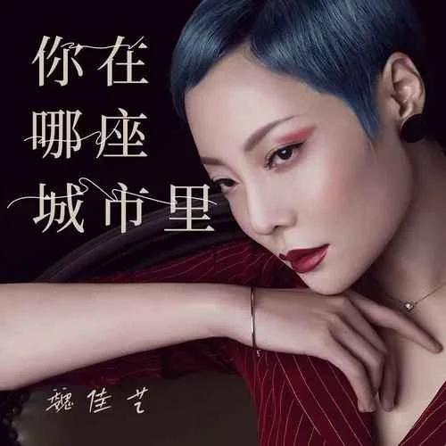 你在哪座城市里-魏佳藝