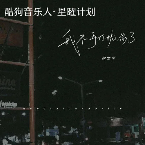 我不再打擾你了-何文宇