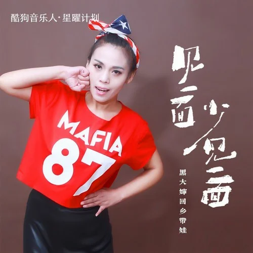 见一面少一面(DJ默涵版)-黑大婶回乡带娃