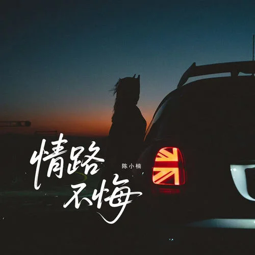 情路不悔-陳小楠
