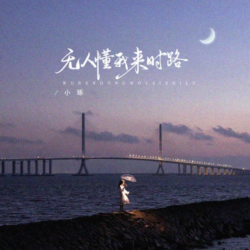 無人懂我來時路-小琢
