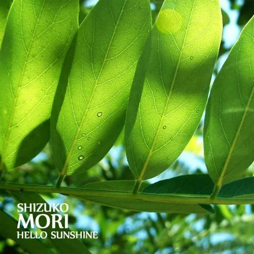 Hello Sunshine-Shizuko Mori