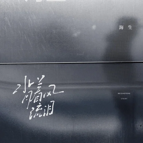 背著風流淚-海生