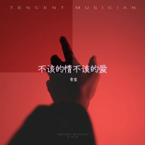 不該的情不該的愛-音寶