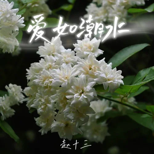 愛如潮水-趙十三