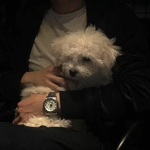 安河橋（翻自 宇西）-LYS