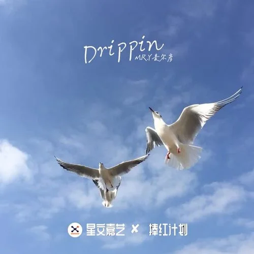 Dozay-Drippin-M.R.Y麥爾彥