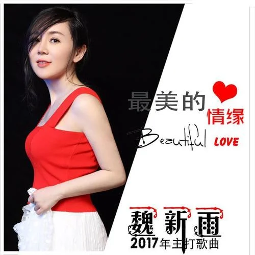 最美的情緣(DJ何鵬版)-魏新雨