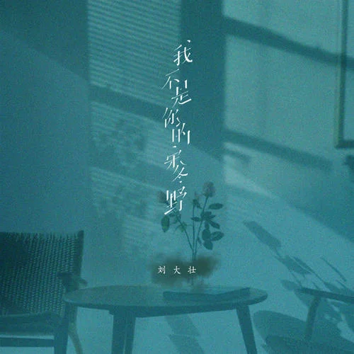 我不是你的宋冬野-刘大壮