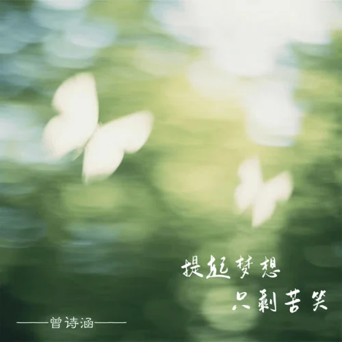 提起梦想只剩苦笑-曾诗涵