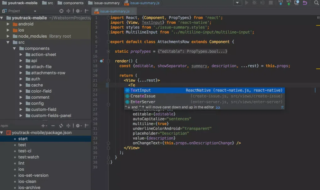 前端开发神器JetBrains WebStorm 2025.2.5中文免费版