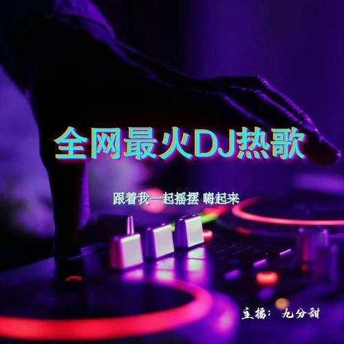 浪子闲话（DJ沈念版）-九分甜