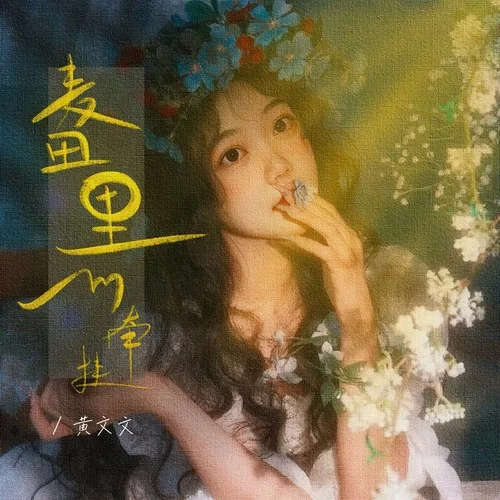 麥田里的牽掛-黃文文