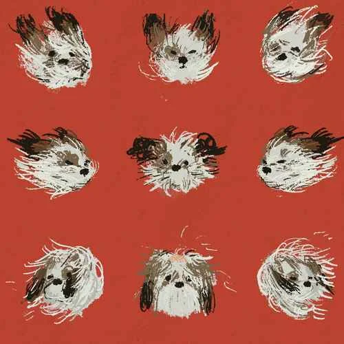 Baby you-芝麻Mochi