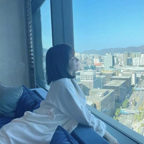 大雁南飛(抖音DJ原聲版)-蘇子琦