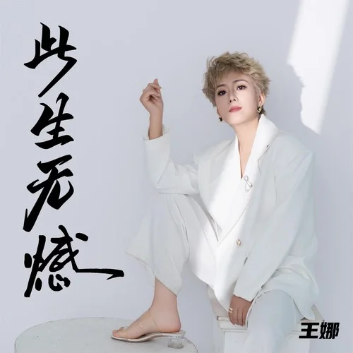 此生无憾 (国语深情版)-王娜
