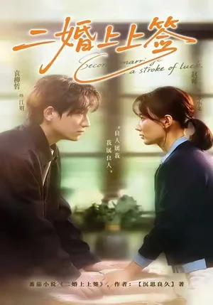 二婚上上签(71集)袁柳哲&赵帅