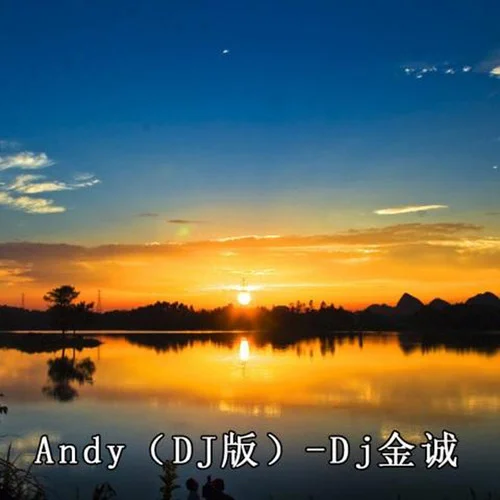 Andy (DJ金诚版)-阿杜