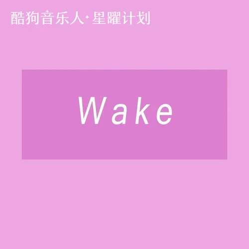 Wake(DJ版)-OAO