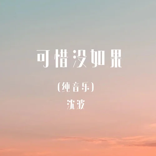 可惜沒(méi)如果(鋼琴版)-沈波