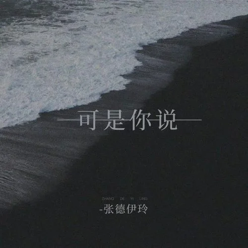 可是你說(shuō)-張德伊玲