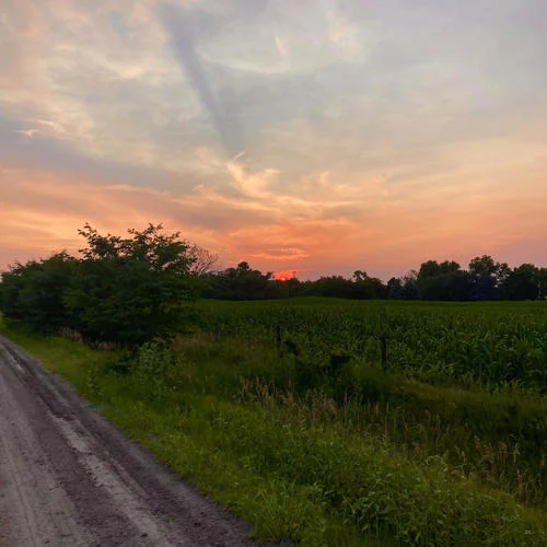 Little Bit Better-Kooper Webb