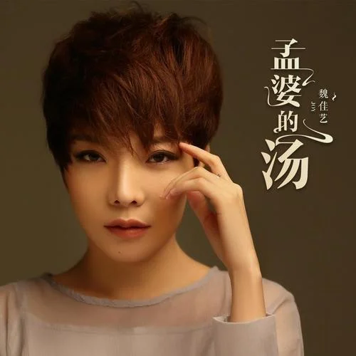 孟婆的汤-魏佳艺