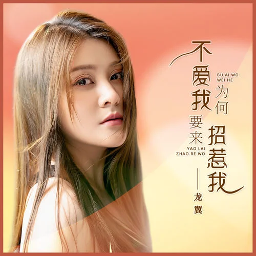 不愛我為何要來招惹我-龍翼