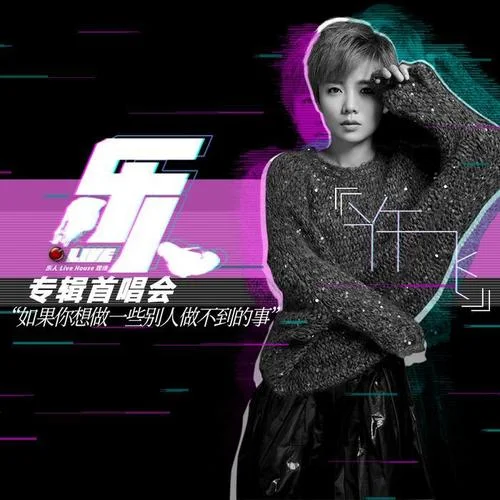 我要的飞翔(Live)-许飞